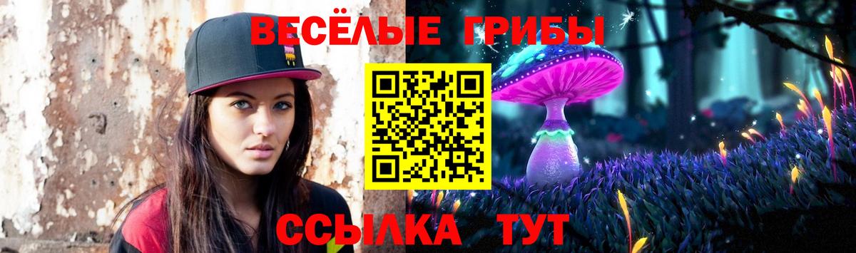 Галлюциногенные грибы прущие грибы Россия